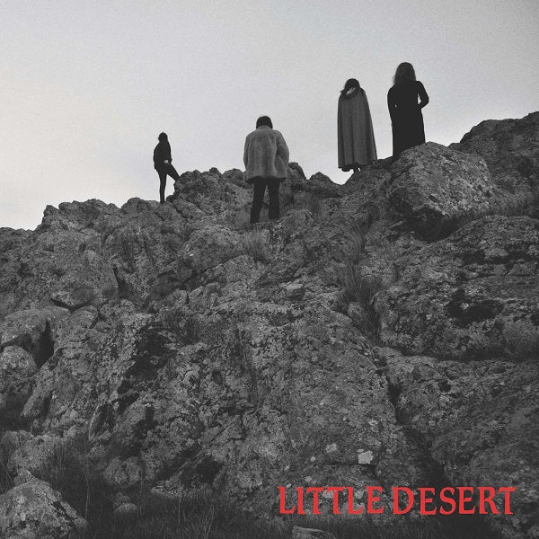 Little Desert - Ashes - 7" | Vinyl