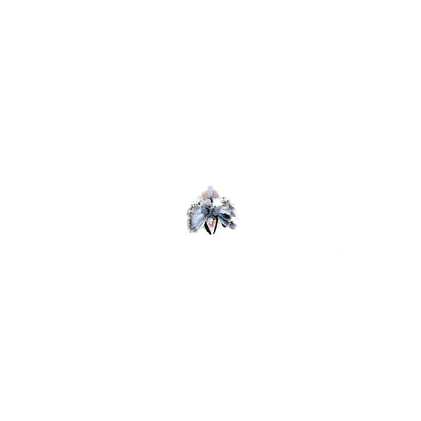 SEBASTOPOL - Assassin | Vinyl
