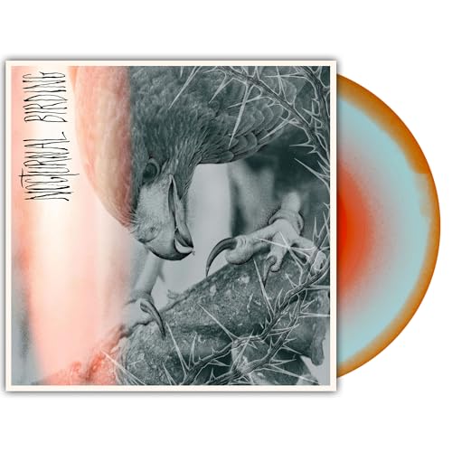 Author & Punisher - Nocturnal Birding | Vinyl