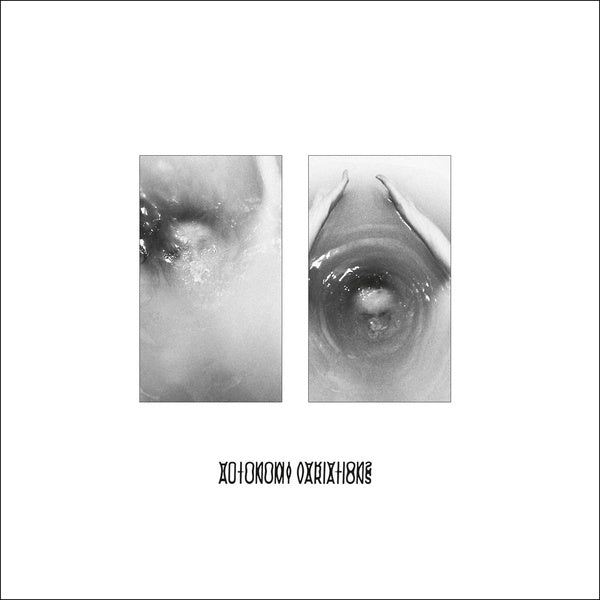 THE GOLDEN FILTER - Autonomy Variations | Vinyl