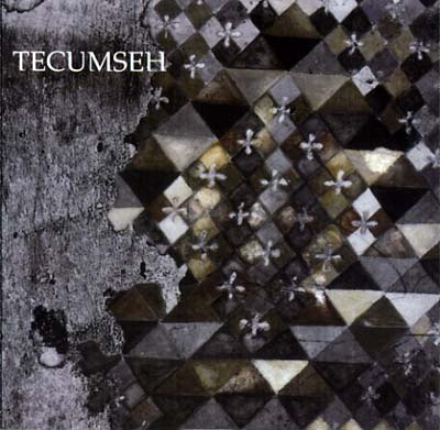 TECUMSEH - Avalanche and Inundation | CD
