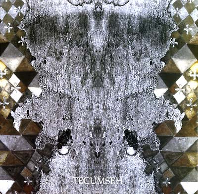TECUMSEH - Avalanche and Inundation | Vinyl