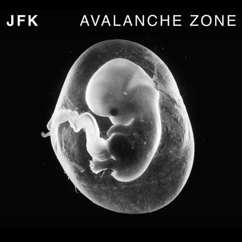 JFK - Avalanche Zone | CD