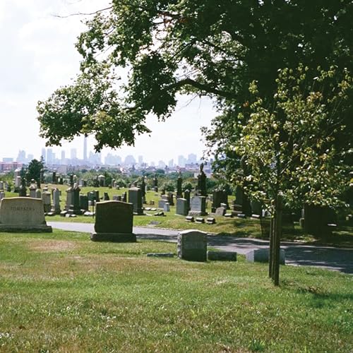 Bad Luck. - Take What You Need (Evergreen Cemetery) | Vinyl