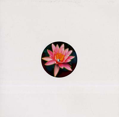 ALEXANDER ROLAND - Balungan | Vinyl