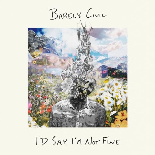 Barely Civil - I’d Say I’m Not Fine | Vinyl