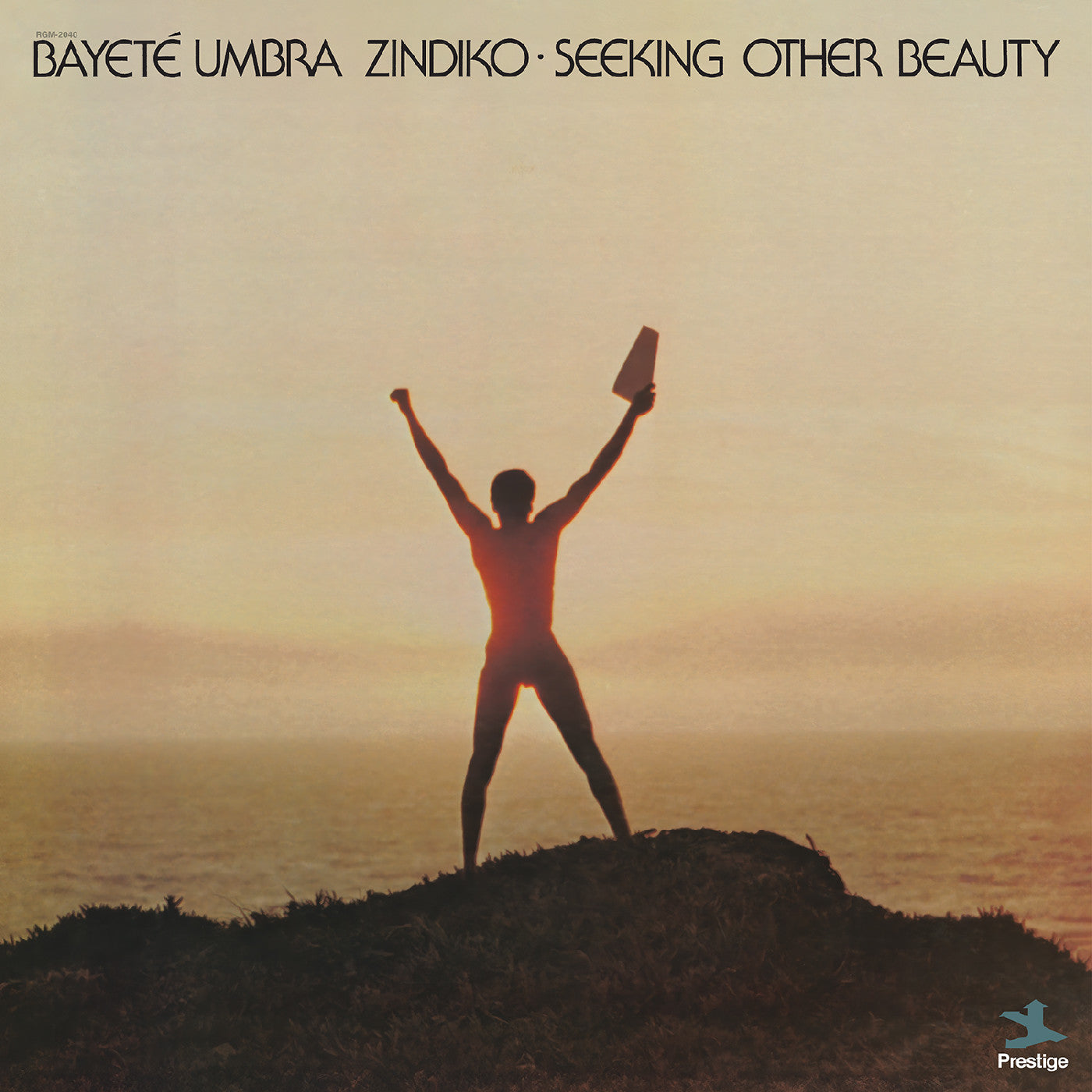 Bayeté Umbra Zindiko | Seeking Other Beauty (All-Analog) | Vinyl