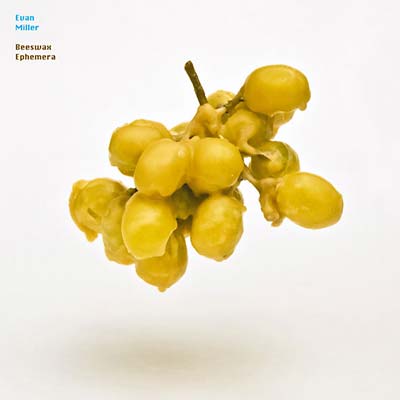 EVAN MILLER - Beeswax Ephemera | CD