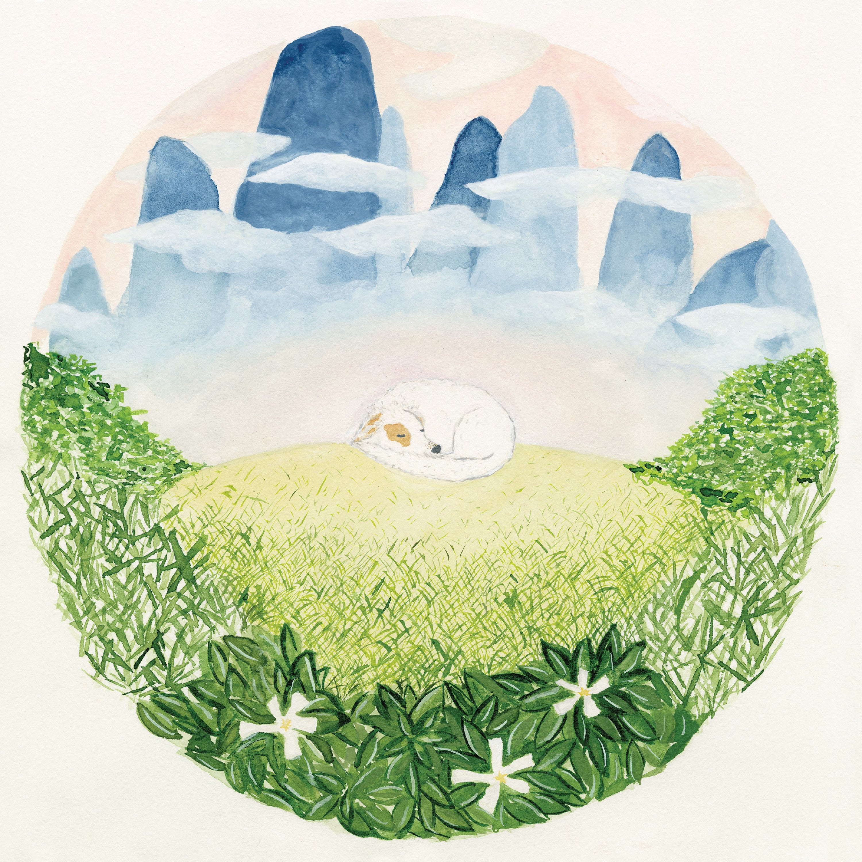 Ben Hackett | Songs For Sleeping Dogs | Vinyl