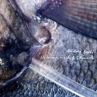 ANDREA BELFI - Between Neck & Stomach | CD