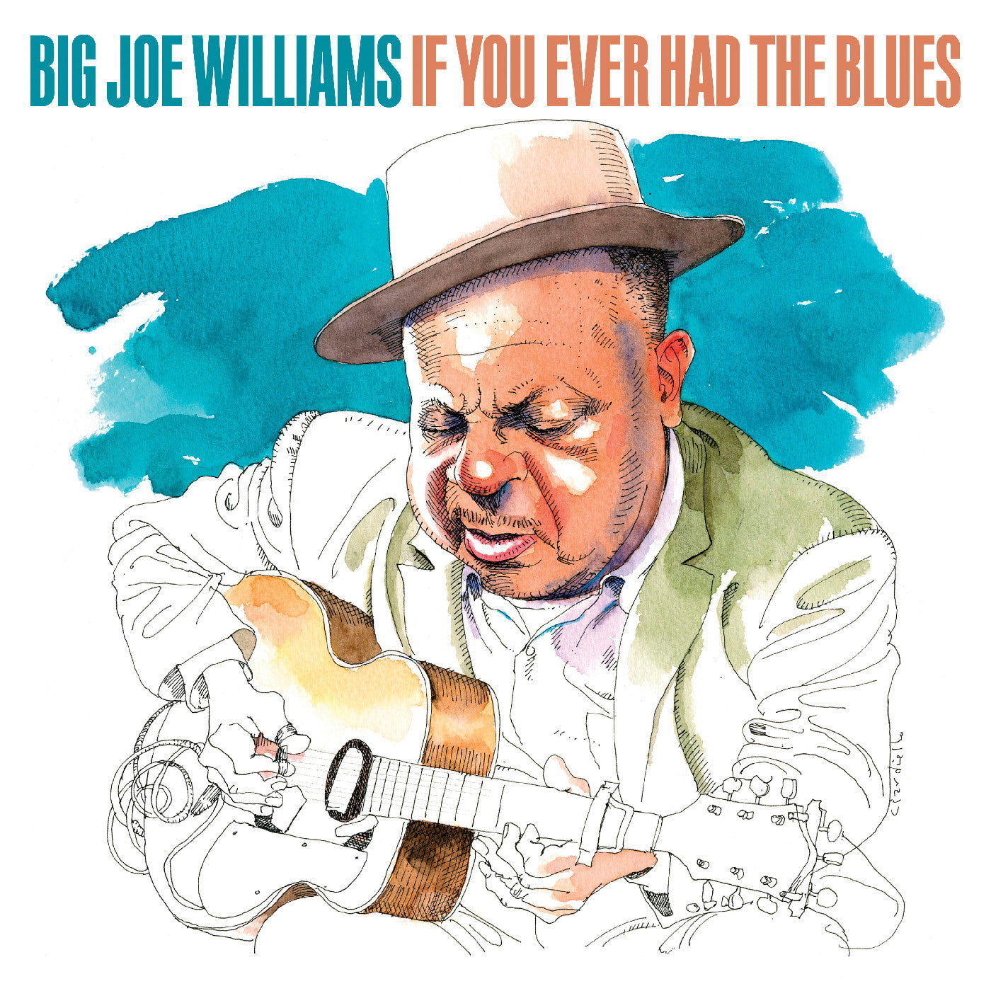 Big Joe Williams - If You Ever Had The Blues | CD