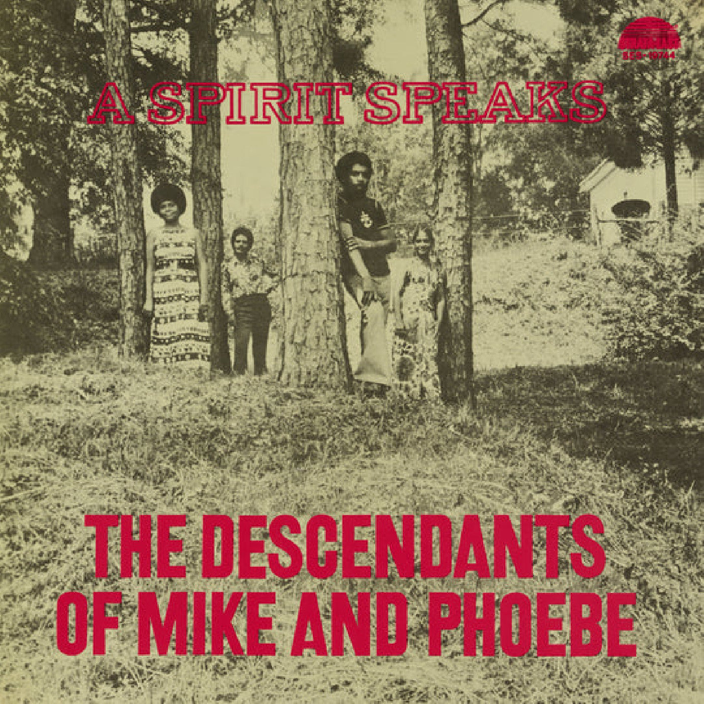 Bill Lee Descendants Of Mike And Phoebe The | A Spirit Speaks (Deluxe Edition) | Vinyl