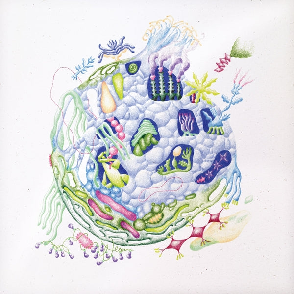 David Edren - Binnenin | Vinyl