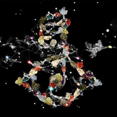 Bjork - Biophilia | Vinyl