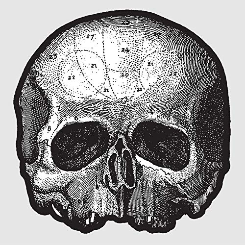 Black Label Society - Black Pearl 10” (Die Cut Skull Pic Disc) | Vinyl