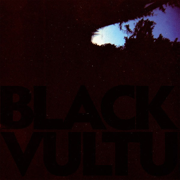 Daniel Norgren - Black Vultures (10") | Vinyl