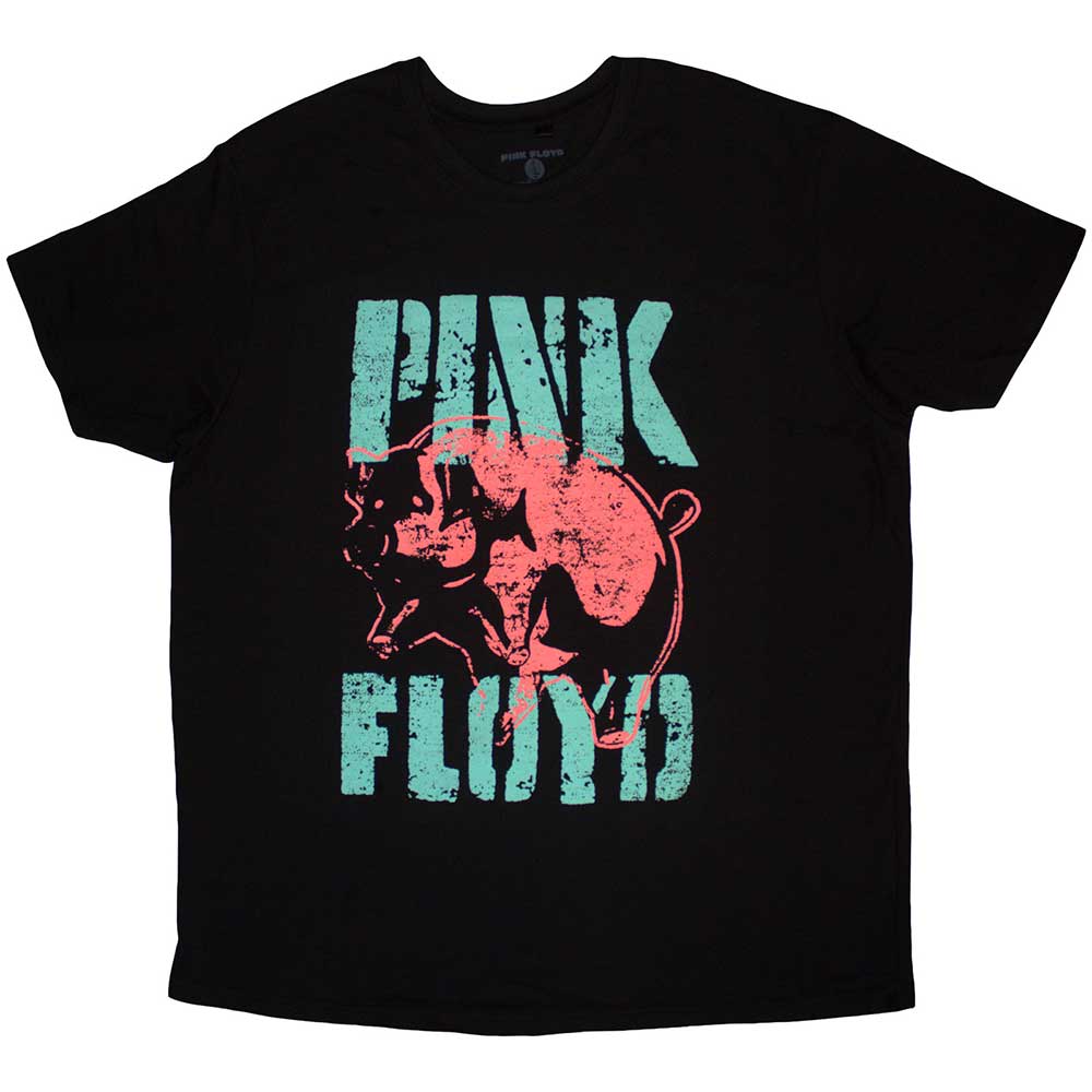 Pink Floyd | Big Pig |