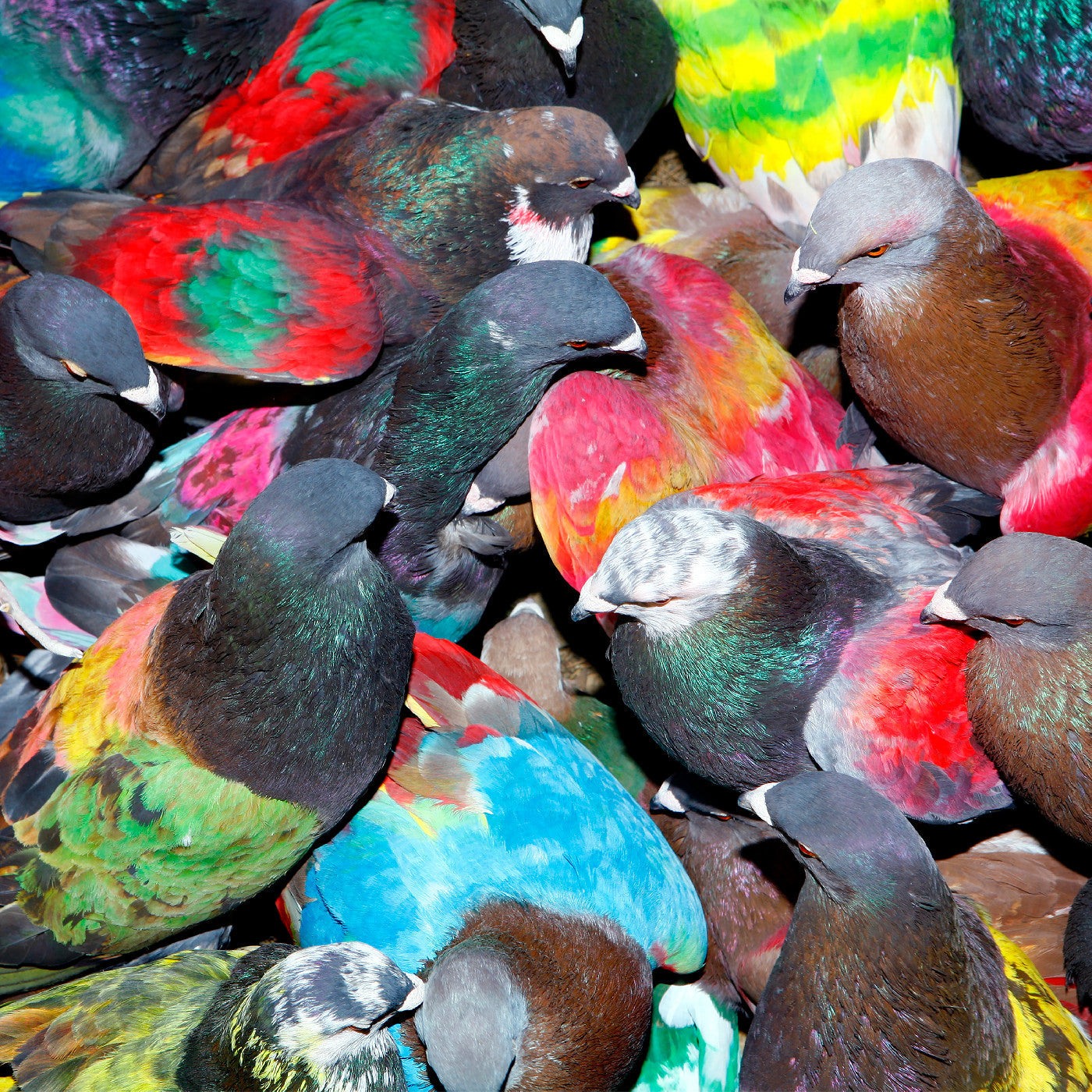Blawan - Sickelixir | CD