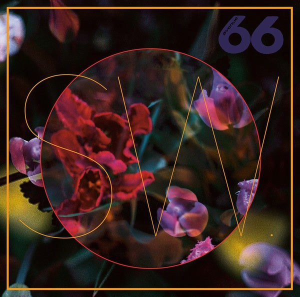 SW. - blewLIPs | Vinyl