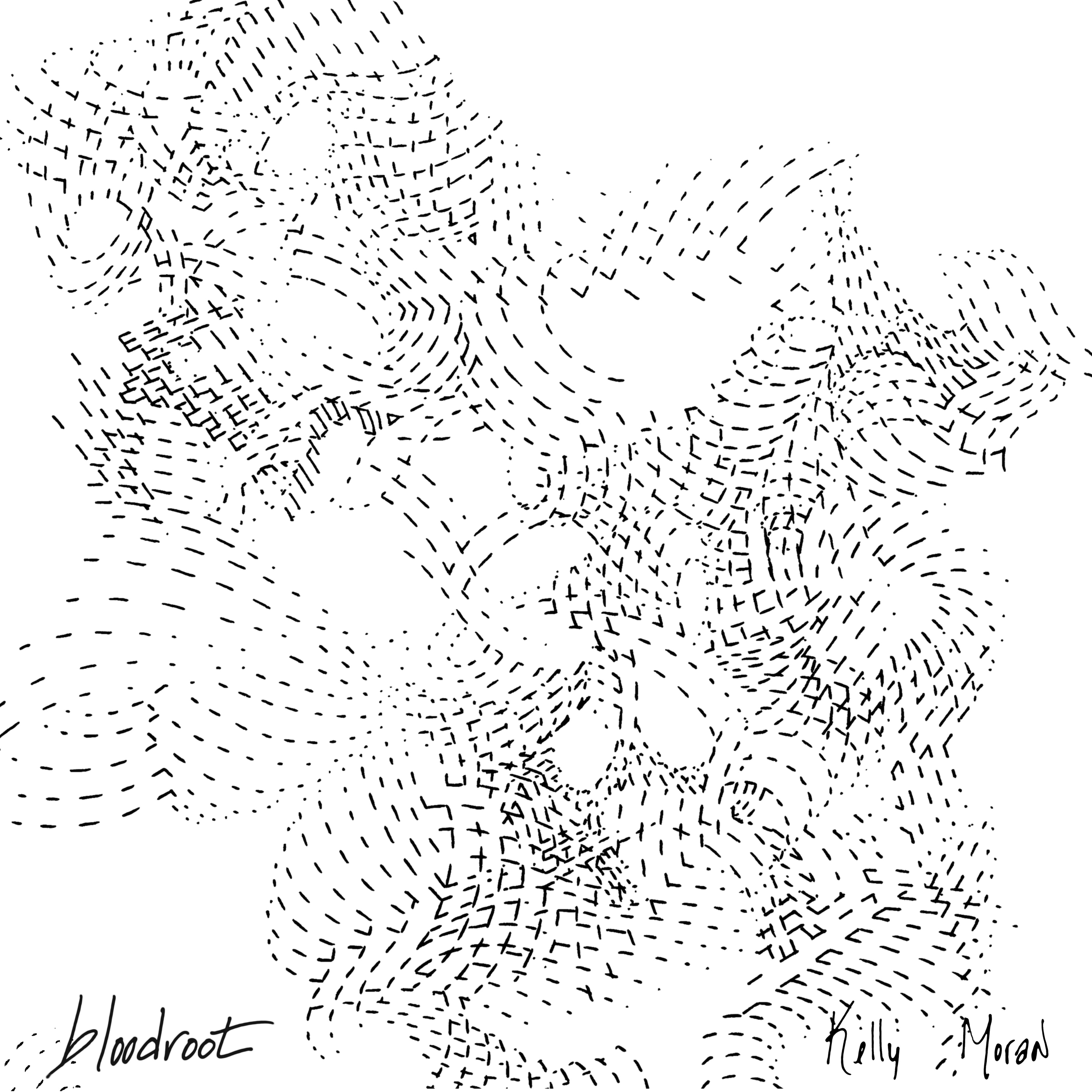 Kelly Moran - Bloodroot | Vinyl