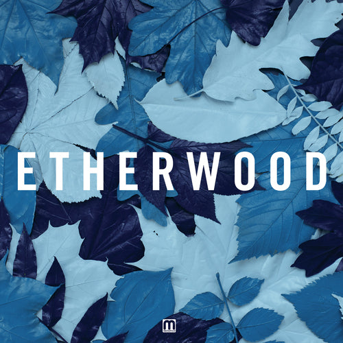 Etherwood - Blue Leaves | CD