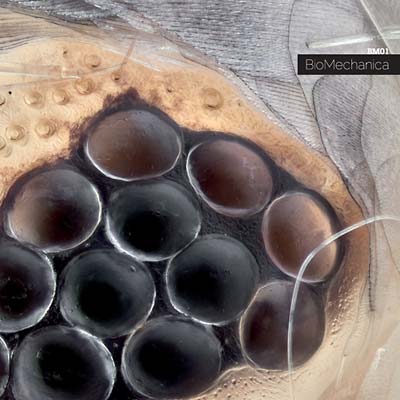 BIOMECHANICA - BM-01 | Vinyl
