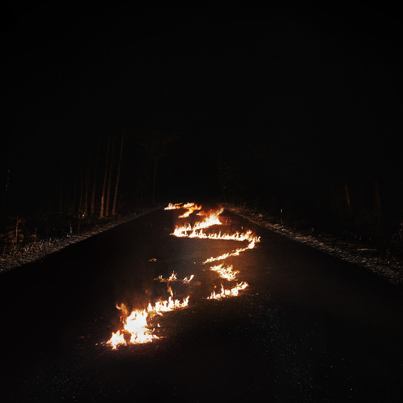 Bob Moses - Battle Lines (Indie Exclusive, Clear Vinyl) | Vinyl