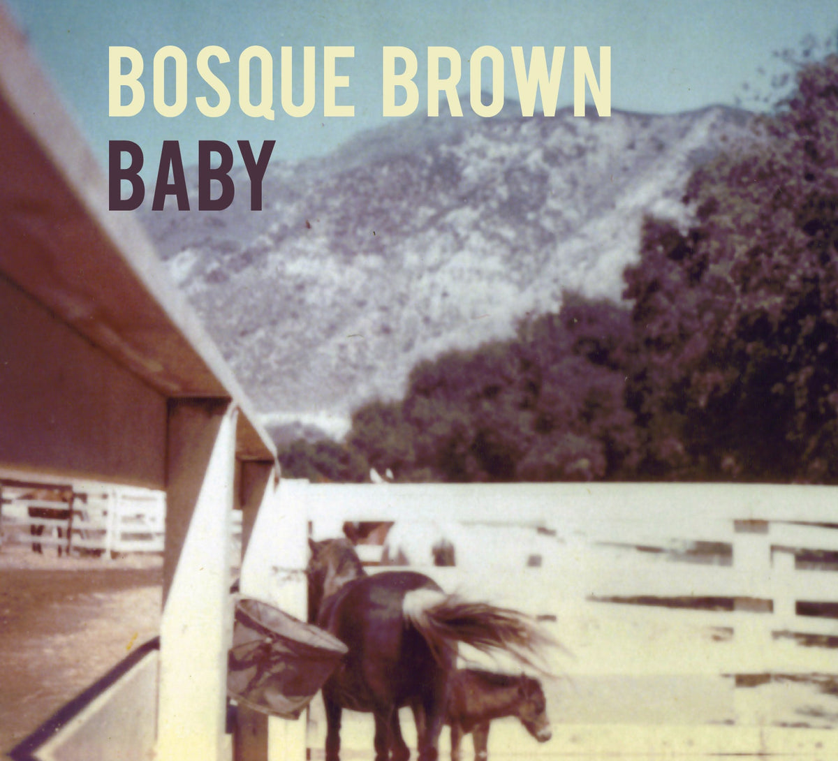 Bosque Brown - Baby (Lp + 7-Inch) | Vinyl