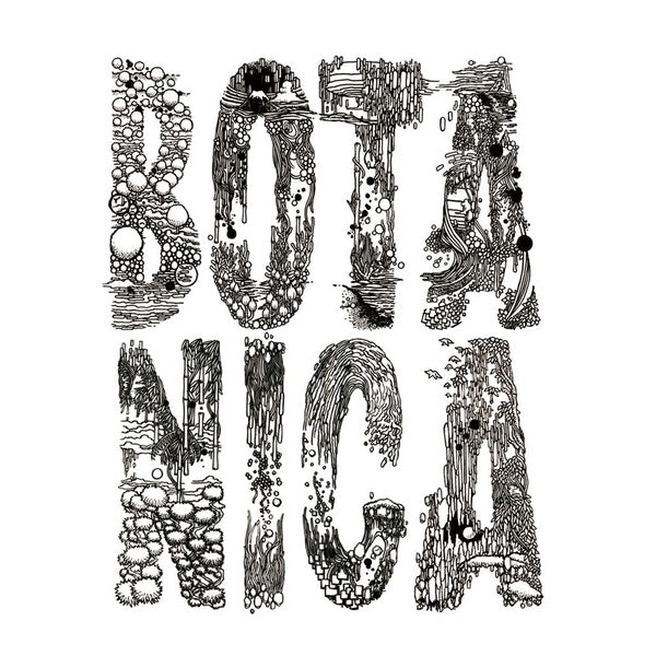 IORI WAKASA - Botanica EP | Vinyl
