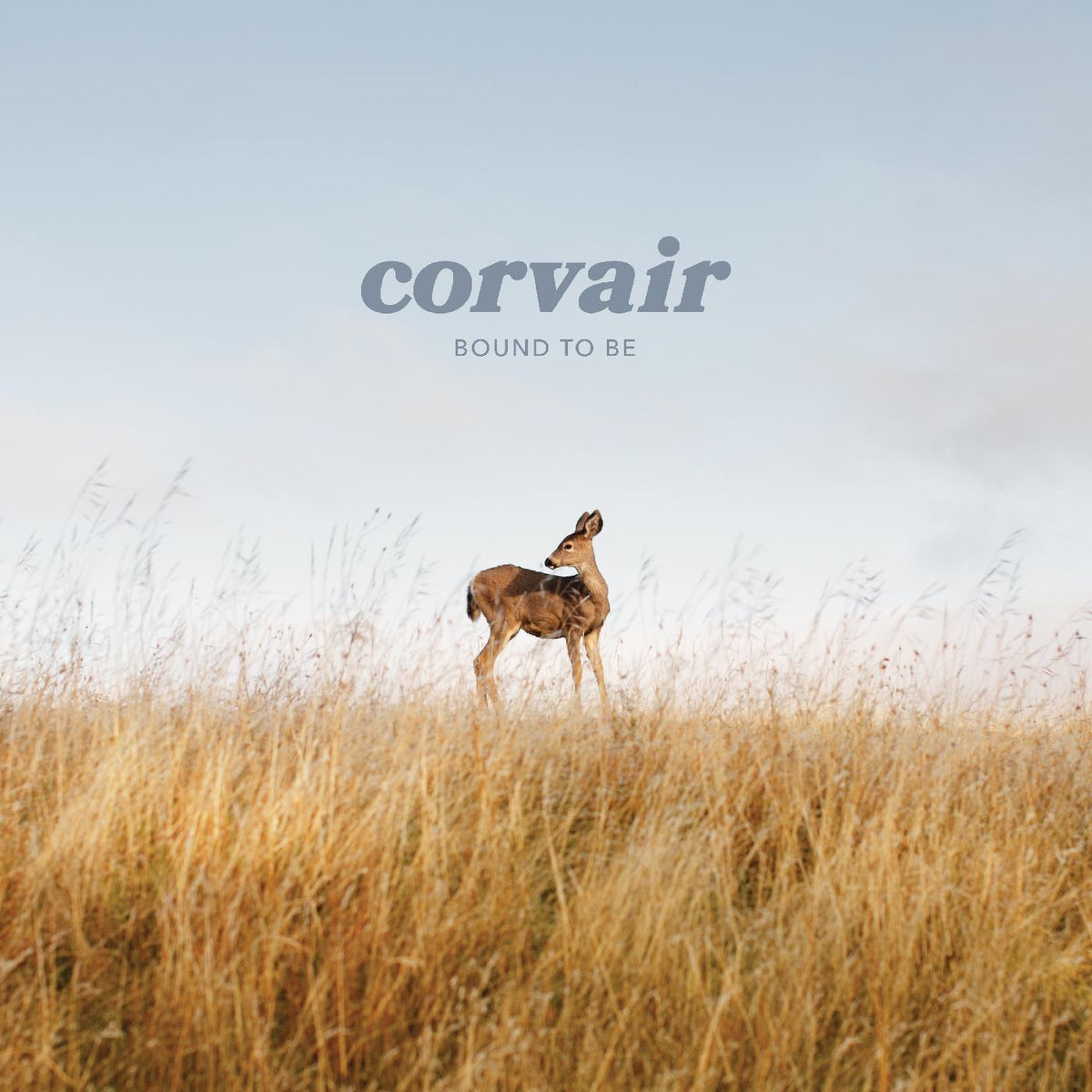 Corvair - Bound to be (CLEAR VINYL) | Vinyl