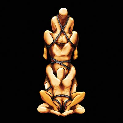 Hirsute Pursuit (Feat. Boyd Rice) - Boyd Keeps Swinging | Vinyl