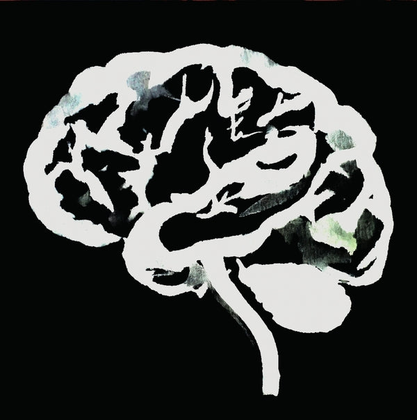 RUINS - Brain Flakes (The Lost Combo Tapes) | Vinyl