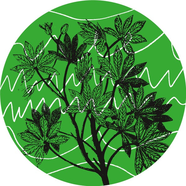 AUNTIE FLO - Brasil Novas Frequencias | Vinyl