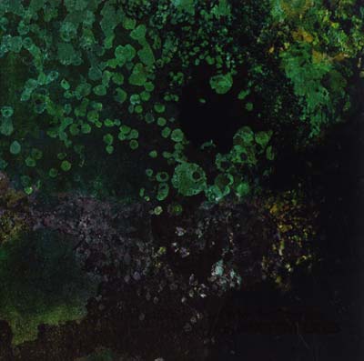 SUTEKH HEXEN WITH ANDREW LILES - Breed in Me the Darkness | CD
