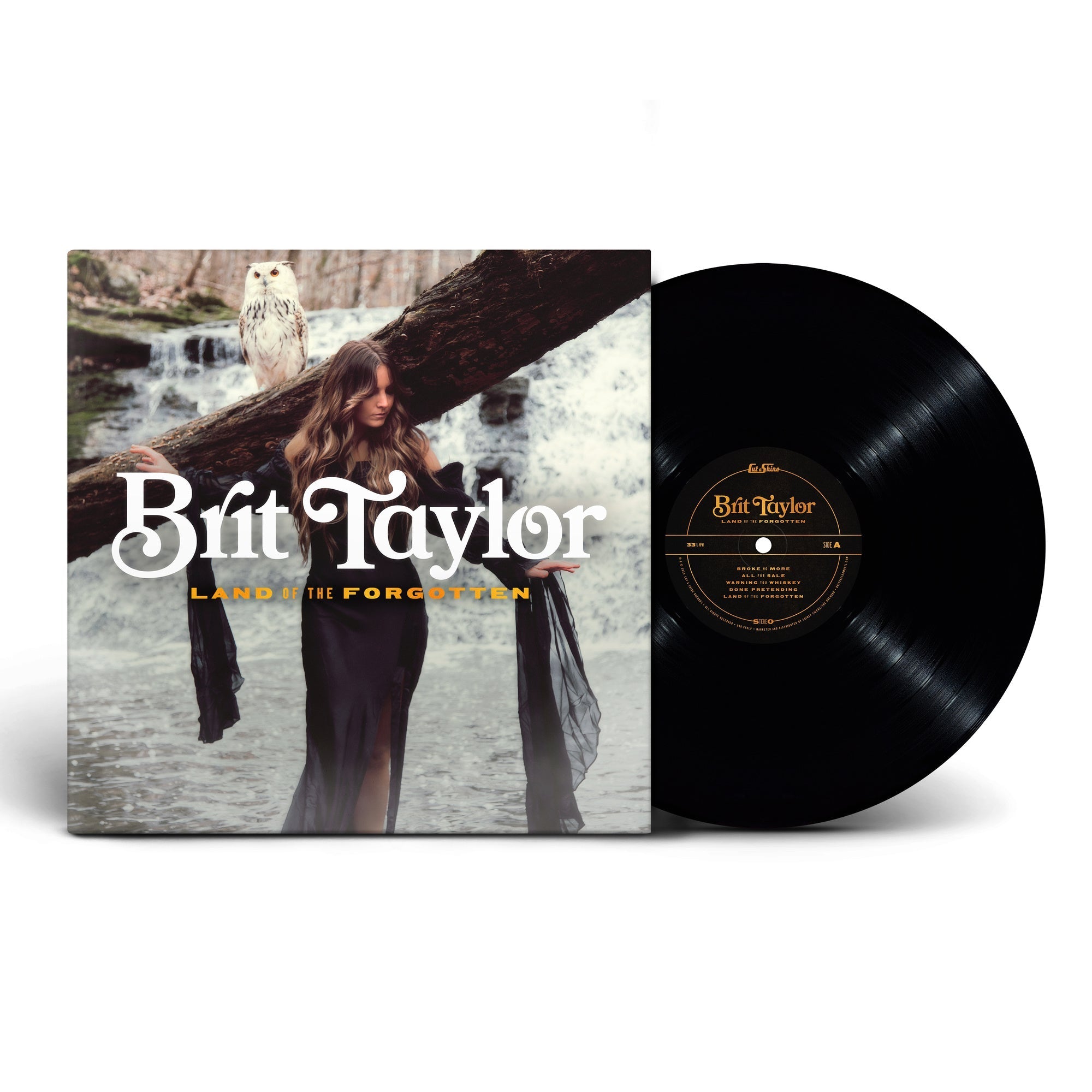 Brit Taylor | Land Of The Forgotten | Vinyl
