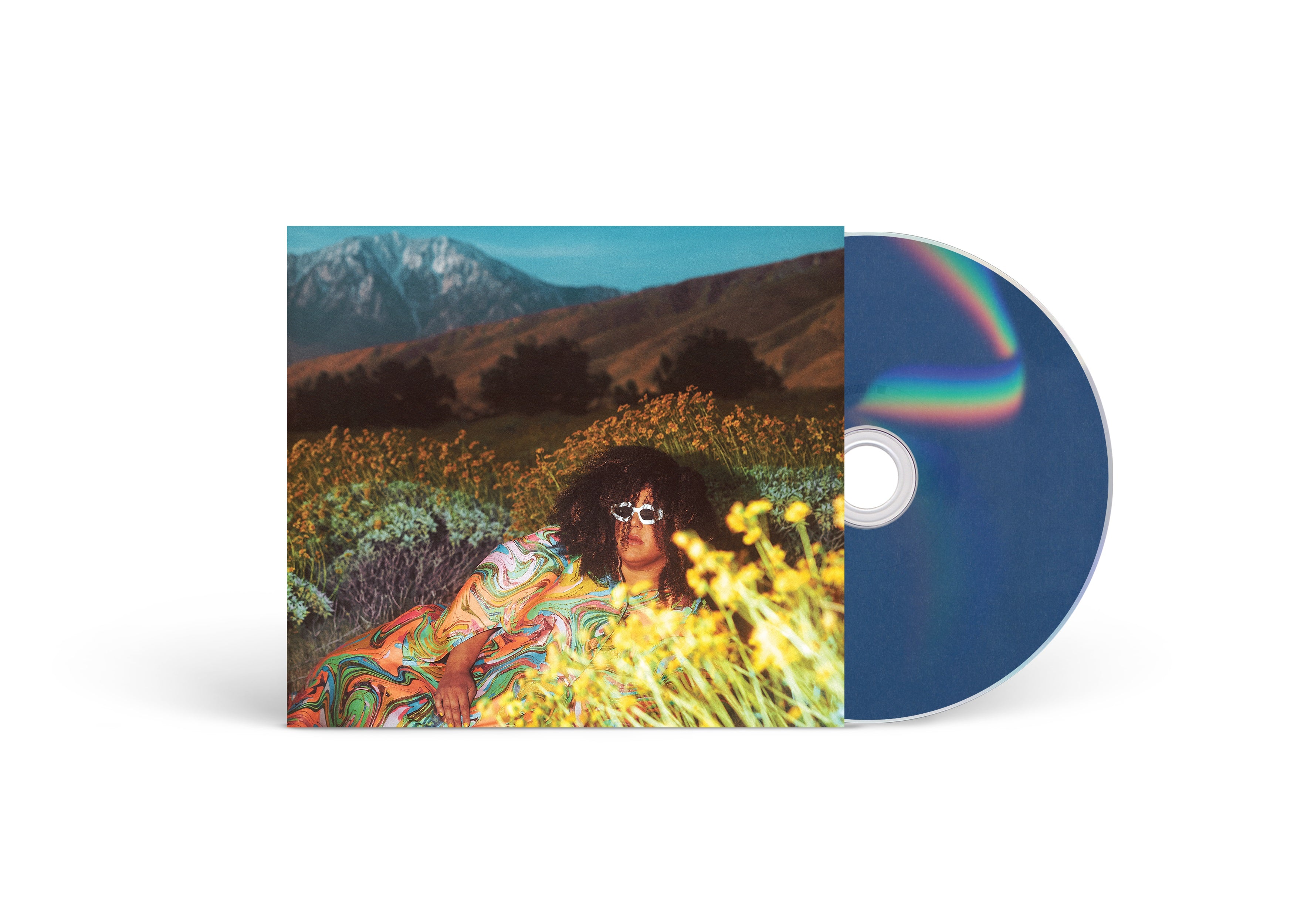 Brittany Howard | What Now | CD