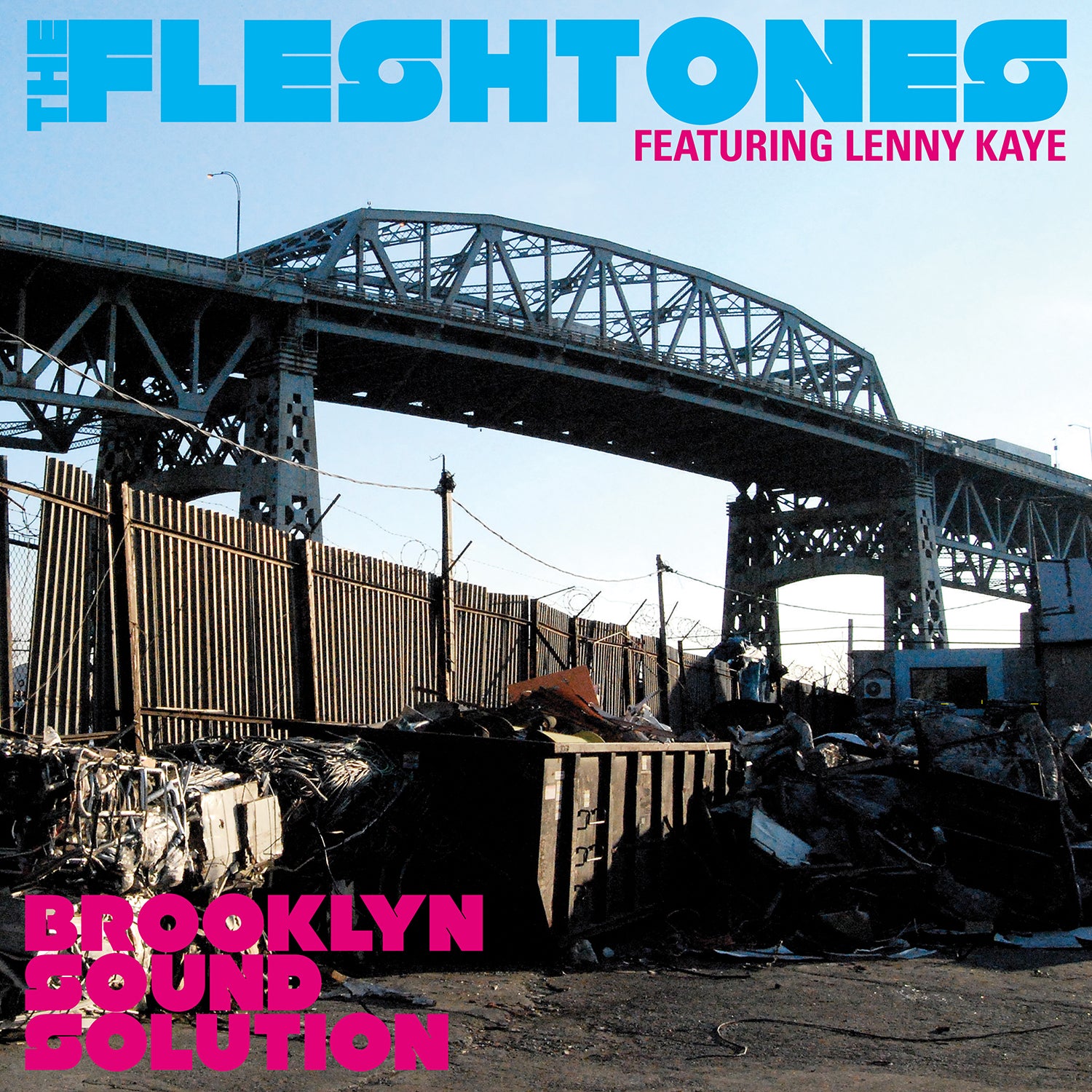 The Fleshtones - Brooklyn Sound Solution | CD