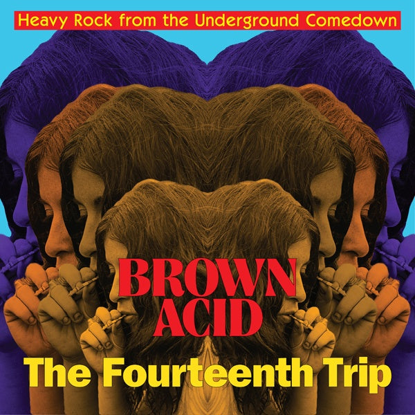 VA | Brown Acid - The Fourteenth Trip | CD