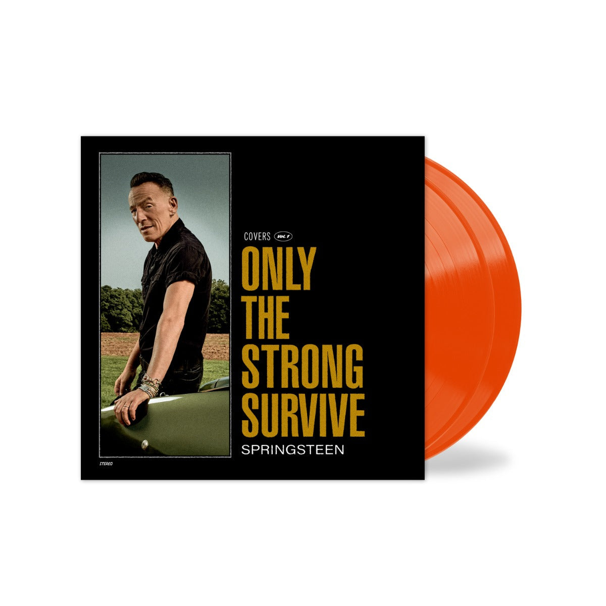 Bruce Springsteen - Only The Strong Survive (Colored Vinyl, Orange, Gatefold LP Jacket, Poster, Indie Exclusive) (2 Lp's) | Vinyl