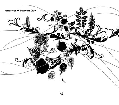 SHANTEL - Bucovina Club | CD