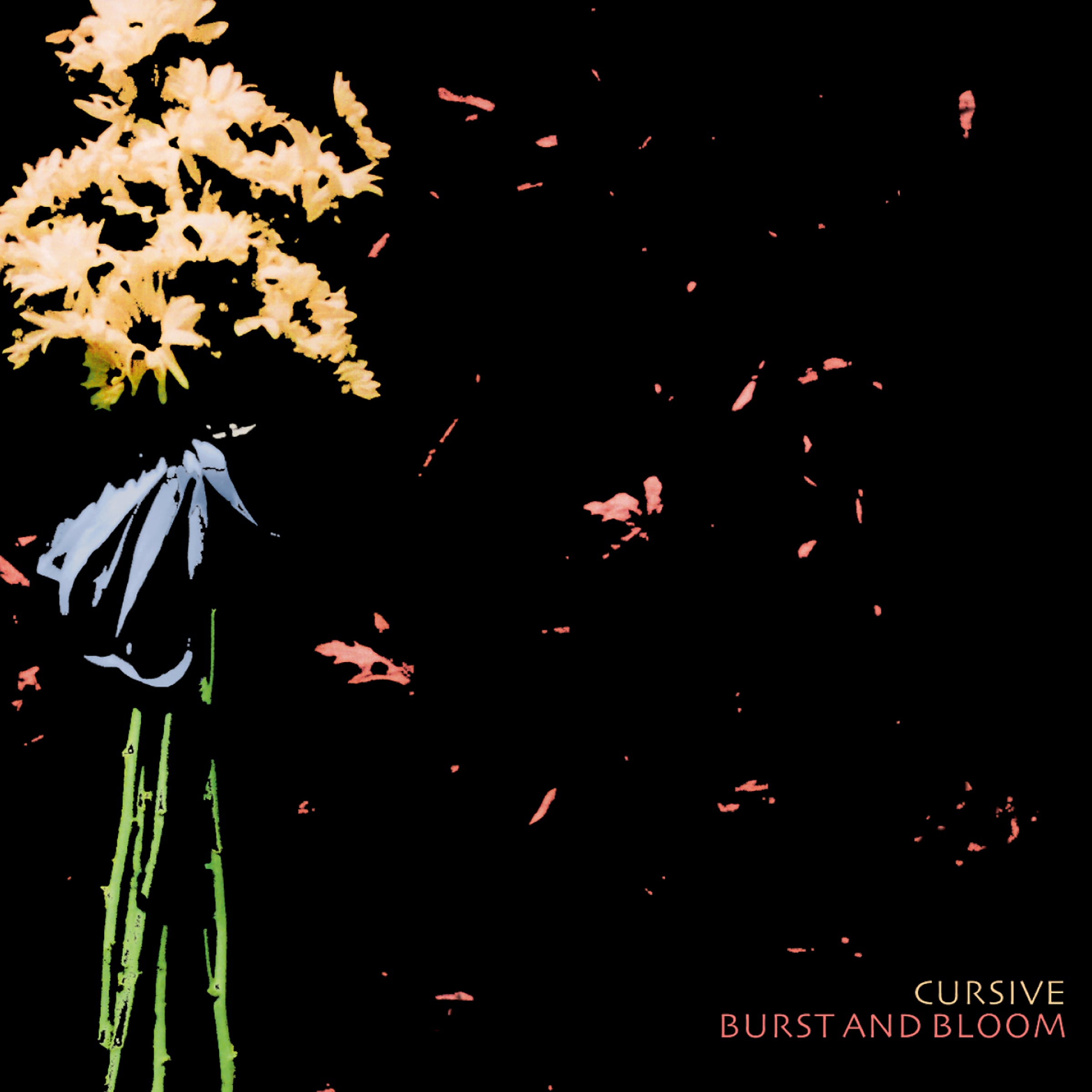 Cursive | Burst And Bloom EP | CD