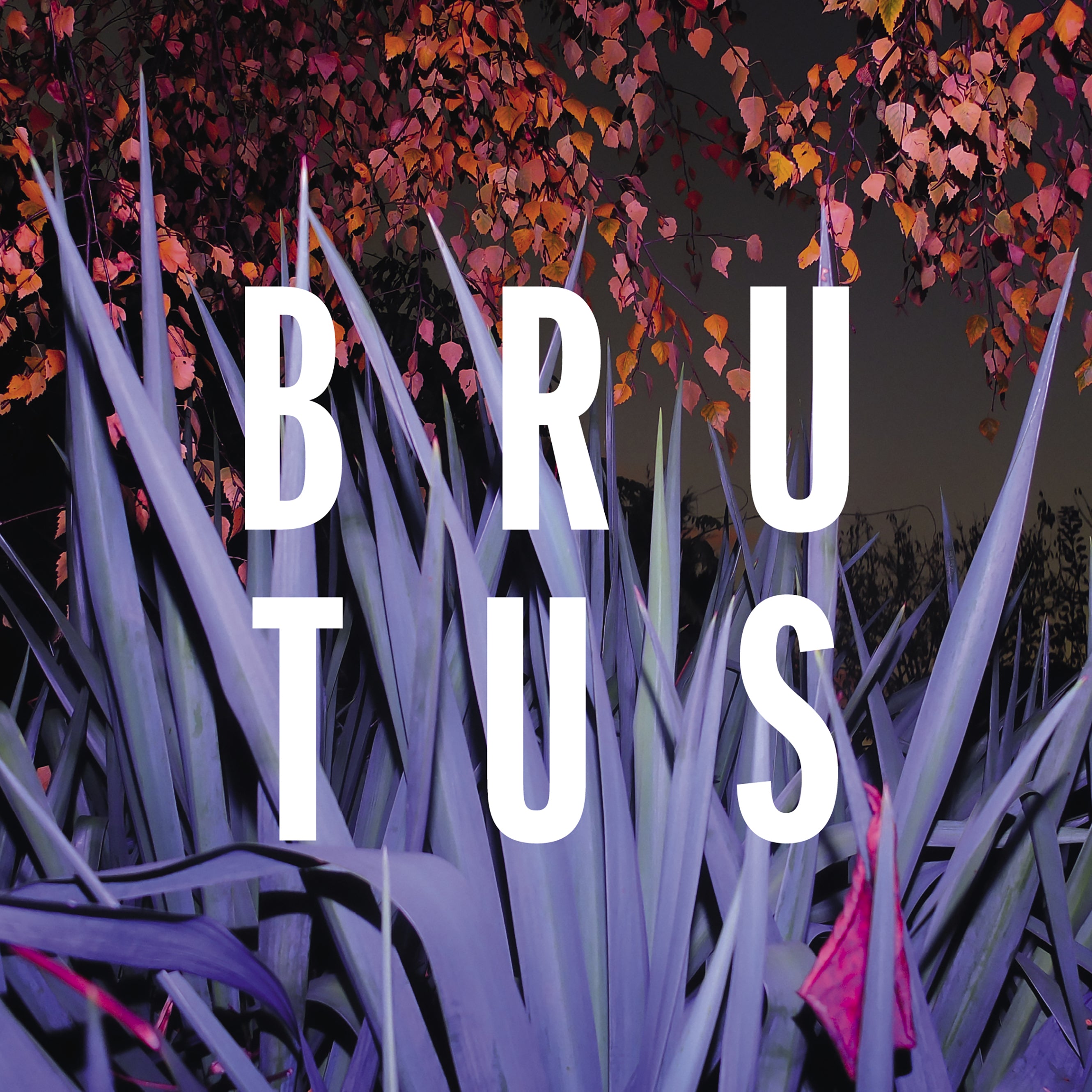 Brutus - Burst | CD