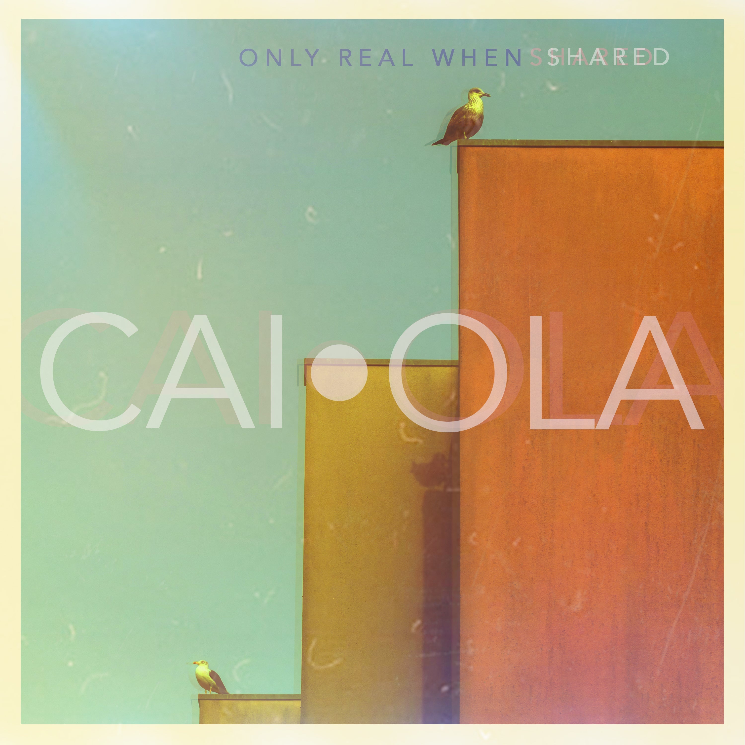 Caiola - Only Real When Shared | CD