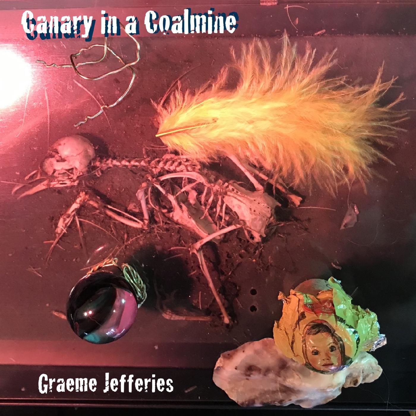 Graeme Jefferies | Canary in a Coalmine | Vinyl