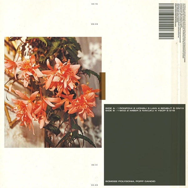 Polygonia, Popp - Candid | Vinyl