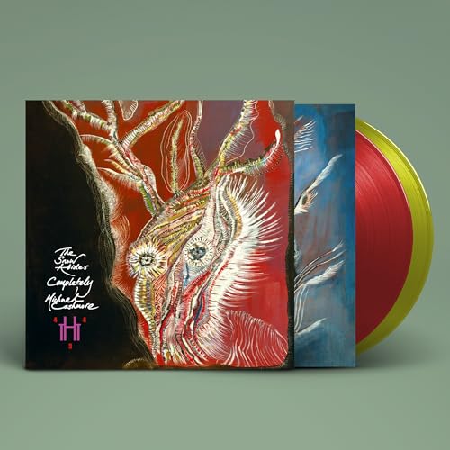 Cashmore, Michael - The Snow Abides Completely | Vinyl