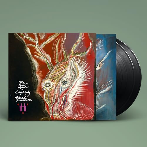 Cashmore, Michael - The Snow Abides Completely | Vinyl