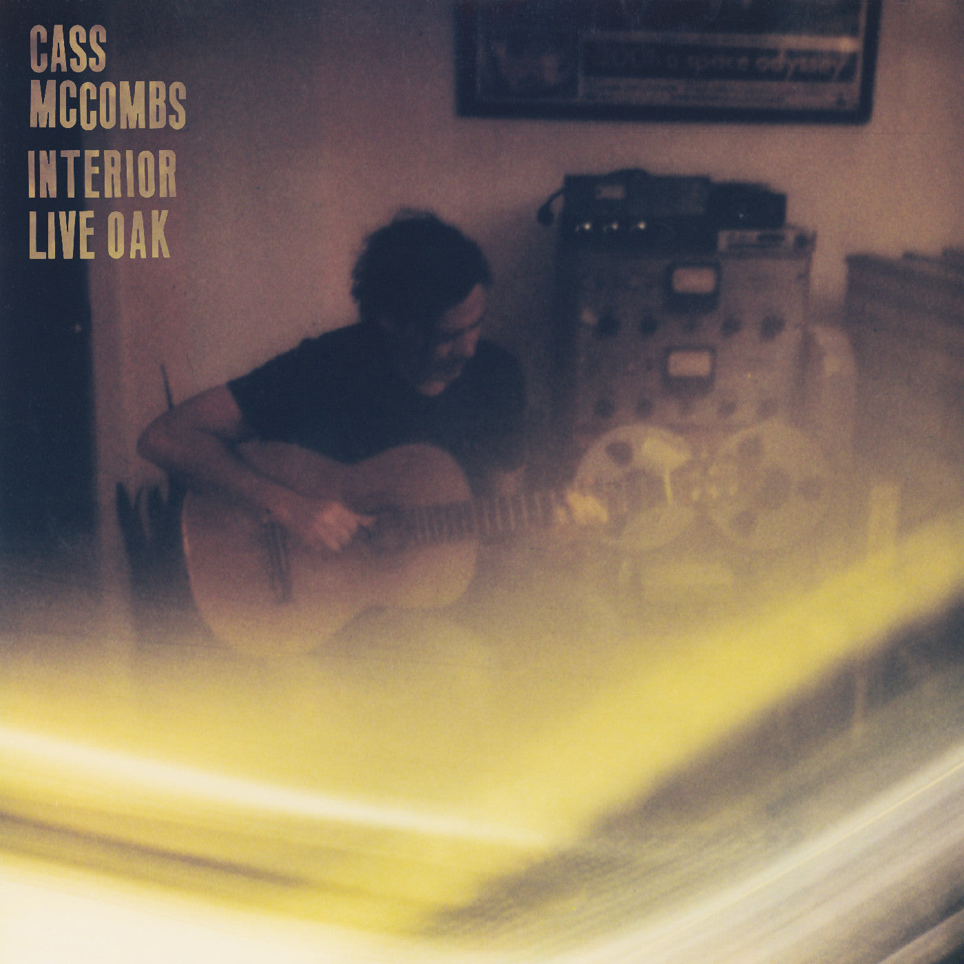 Cass Mccombs | Interior Live Oak | Vinyl