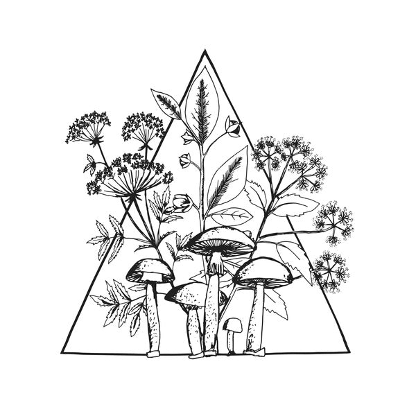 LES CONVERSIONS - Cassette | Vinyl