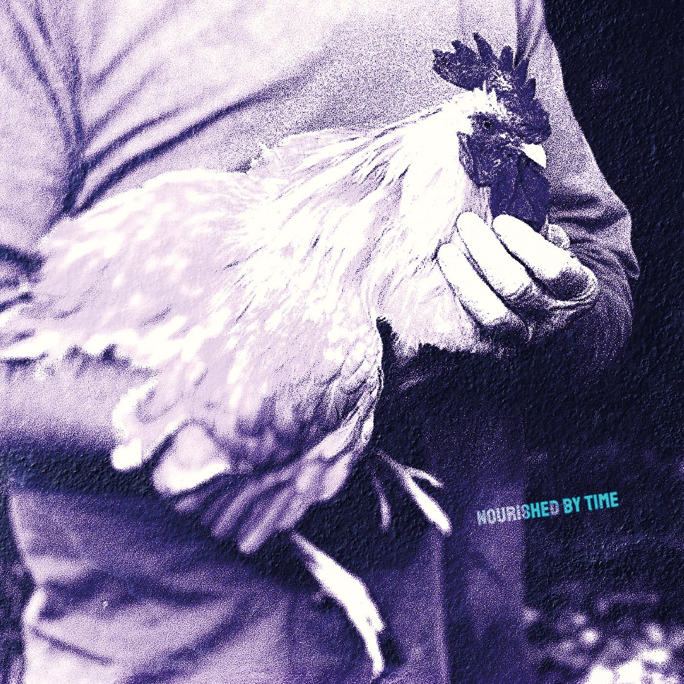 Nourished by Time | Catching Chickens EP | Vinyl